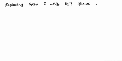 false-to-true-this-statement-is-false-rewrite-it-to-be-true-and-explain-why-it-is-false-6-if-we-replace-gene-x-with-a-reporter-gfp-gene-then-we-can-study-the-protein-xs-movement-around-the-c-60277