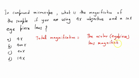 6-when-using-the-compound-microscopes-in-this-lab-what-is-the-magnification-of-a-sample-if-you-are-using-a-4x-objective-and-a-10x-eyepiece-lens-group-of-answer-choices-a-4-b-400-c-40-d-14-05457