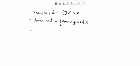 question-1-point-the-molecular-structures-shown-below-are-representative-of-five-major-classes-of-building-block-molecules-monomers-that-make-up-macromolecules-and-membranes-in-cells-for-the-13938