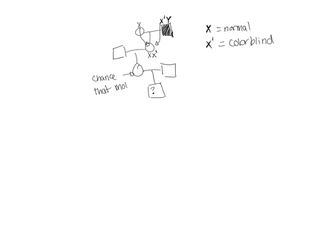 a-woman-with-normal-vision-has-a-son-the-womans-maternal-grandfather-is-color-blind-what-is-the-probability-that-the-son-is-colorblind-if-his-father-is-normal-assume-there-are-no-other-color-61387