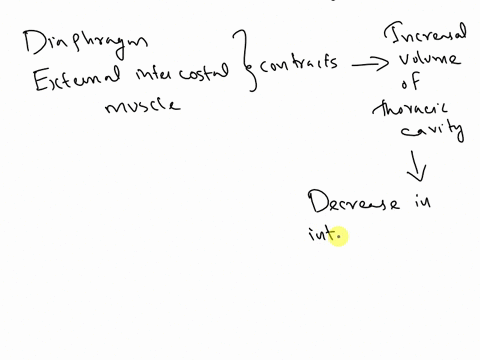 explain-the-process-of-inspiration-and-expiration-include-the-physiological-events-as-well-as-volume-and-pressure-changes-23344