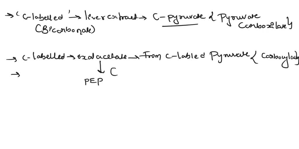 SOLVED A liver extract capable of carrying out all the normal
