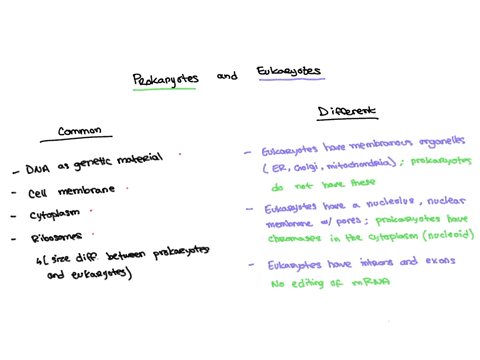 in-what-ways-are-prokaryotic-and-eukaryotic-cells-different-in-what-ways-are-they-similar-07577