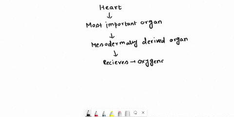 which-of-the-following-is-true-regarding-the-heart-a-it-receives-oxygenated-blood-from-the-lungs-via-the-pulmonary-veins-it-receives-deoxygenated-blood-from-the-arms-and-head-via-the-superio-70895