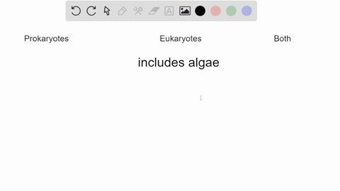 classify-descriptions-as-pertaining-to-prokaryotic-cells-eukaryotic-cells-or-both-prokaryotes-eukaryotes-both-include-algae-contain-mitochondria-localize-genetic-material-in-the-cytoplasm-ha-93796