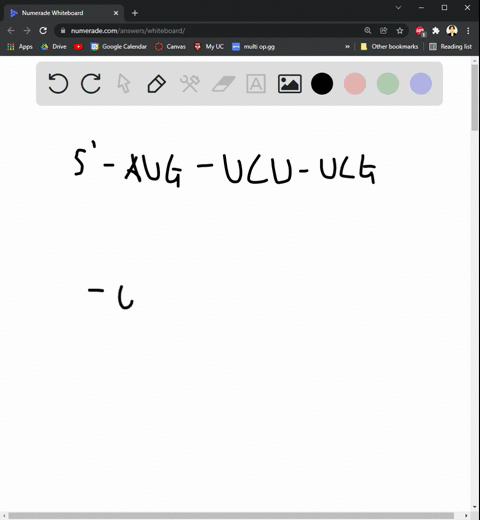 the-following-question-refers-to-this-table-of-codons-what-amino-acid-sequence-will-be-generated-based-on-the-following-mrna-codon-sequence-5-aug-ucu-ucg-uua-ucc-uug-3-second-base-uuu-uuc-uu-87809
