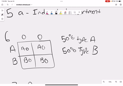 the-form-of-inheritance-in-which-the-heterozy-gous-state-is-expressed-as-an-intermediate-incomplete-dominance-dominant-recessive-multiple-allele-polygenic-sex-linked-the-idea-that-for-any-pa-85776