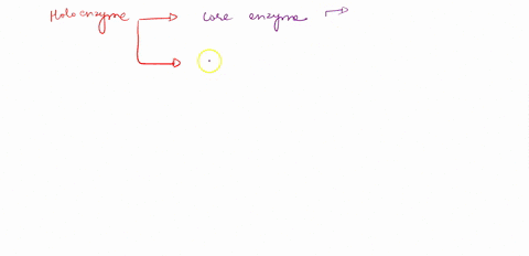 what-does-the-rna-polymerase-holoenzyme-consists-of-in-prokaryotes-select-one-a-the-core-polymerase-plus-two-alpha-subunits-b-the-core-polymerase-plus-two-alpha-subunits-two-beta-subunits-an-46446