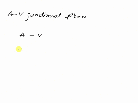 i-am-stuck-on-these-two-homework-question-question-3-4-pts-a-vjunctional-fibers-help-to-the-ecg-depolarization-wave-o1speed-up-2slow-down-id-question-4-4-pts-most-atp-generated-during-aerobi-73478