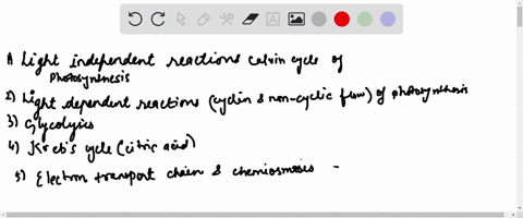 atp-is-synthesized-in-all-of-the-following-metabolic-pathways-except-light-independent-reactions-calvin-cycle-of-photosynthesis-light-dependent-reactions-cyclic-noncylcic-electron-flow-of-ph-94834