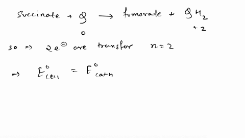 the-succinate-biehydrogenase-complex-couples-the-oxidation-of-succinate-to-the-reduction-of-ubiquinone-q-according-to-the-following-equation-succinate-q-fumarate-qhz-given-that-e-for-the-fum-48905