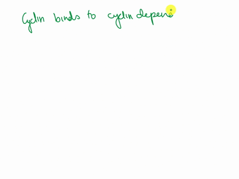 what-signal-causes-cells-to-divide-to-produce-new-cells-99454