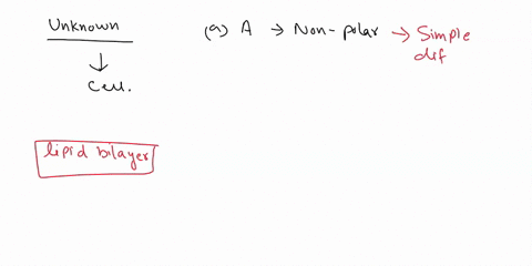 4-given-the-following-characteristics-of-an-unknown-molecule-determine-how-it-will-cross-into-the-cell-across-the-membrane-think-transport-type-explain-your-reasoning-molecule-a-is-non-polar-88567