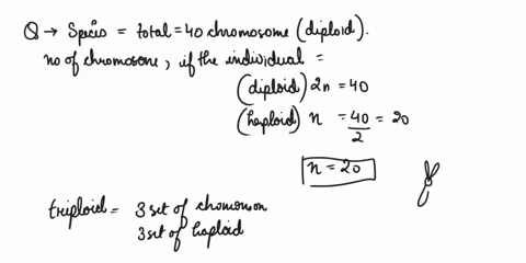 for-_-species-with-dlplodd-number-01-40indicale-haw-many-chromosornes-will-be-present-in-tno-somatic-nuc-ei-ol-individuals-ihal-are-haploid-triploid-etraploid-irisomlc-and-morosomic-pan-riso-01677