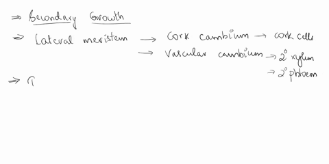 how-does-secondary-growth-occur-in-plants-and-what-are-some-consequences-45475