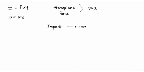 a-duck-collides-with-an-airplane-would-the-impulse-be-greater-on-the-duck-or-the-airplane-how-would-velocity-and-momentum-compare-between-those-two-objects-22173