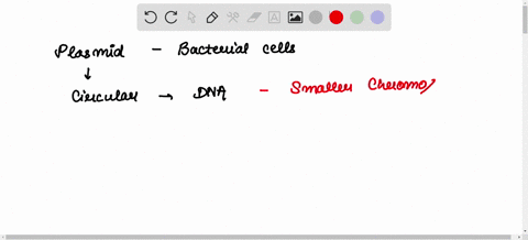 describe-some-of-the-characteristics-of-plasmids-including-their-source-composition-method-for-insertion-into-bacteria-and-value-to-dna-technology-69567