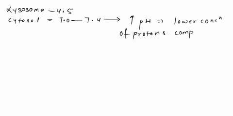 the-lysosome-requires-an-internal-ph-of-about-45-to-maintain-the-function-of-its-enzymes-the-cytosol-surrounding-it-maintains-ph-between-70-74-to-answer-this-question-think-about-the-proton-51683