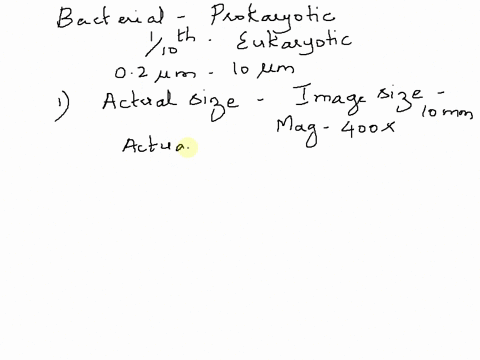 1calculate-cell-size-in-m-assume-for-your-calculations-that-you-are-using-400x-magnification-and-the-cell-has-about-10-mm2-bacteria-three-types-1000x-observe-the-three-morphological-types-of-21132