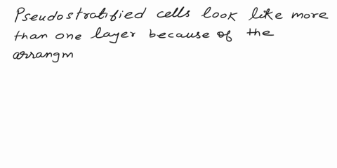 place-a-single-word-into-each-sentence-to-riake-it-correct-rectangle-epithellal-tissuo-can-be-according-to-cell-shape-and-number-of-layers-square-one-layer-ol-cells-is-called-and-more-than-o-71436
