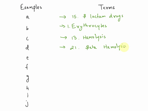 match-the-following-letters-with-the-numbered-categories-below-penicillin-cephalosporin-red-blood-cell-completely-break-down-red-blood-cells-break-the-red-blood-cells-alpha-beta-and-gamma-ca-42795