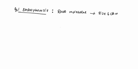 what-part-of-the-dna-molecule-is-responsible-for-the-ability-to-travel-in-an-electric-current-which-electric-lead-the-positive-lead-or-the-negative-lead-is-placed-at-the-bottom-of-the-gel-wh-06446
