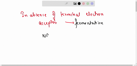 for-glycolysis-in-the-absence-of-a-terminal-electron-acceptor-what-is-the-purpose-of-fermentation-38238