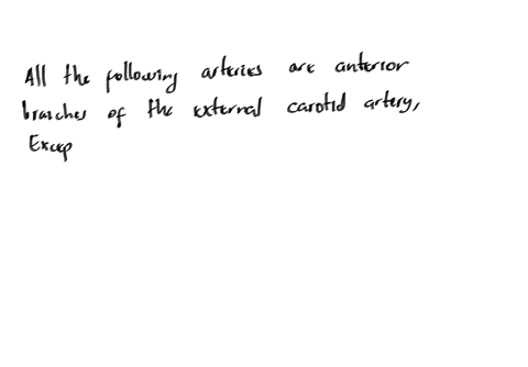all-the-following-arteries-are-anterior-branches-of-the-external-carotid-artery-except-a-lingual-artery-b-facial-artery-c-superior-thyroid-artery-d-occipital-artery