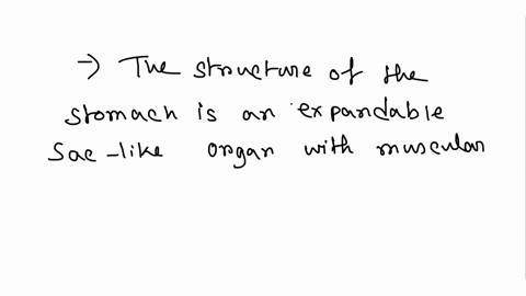 why-is-the-stomach-both-muscular-and-expandable-05486