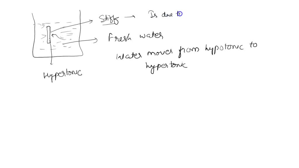 SOLVED '5) Celery stalks that are immersed in fresh water for several