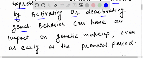 what-role-do-the-genes-play-in-influencing-someones-behavior-94435