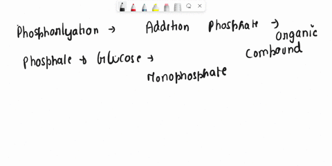 32-the-transamination-reaction-transfers-an-amino-group-from-an-amino-acid-to-the-a-keto-position-of-an-a-keto-acid-what-is-the-net-result-of-this-reaction-a_-phosphorylation-b-dephosphoryla-86632