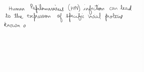 we-know-that-the-iuman-papilloma-vitus-hpv-is-the-major-but-iwo-of-the-has-been-linked-cause-of-cervical-caricer-hpv-expresses-several-proteins-to-cancer-e6-binds-p53-while-e7-birds-to-rb-le-13828