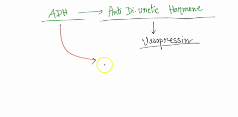 1-description-regarding-how-the-diuretic-at-least-1-diuretic-works-on-the-nephron-include-the-part-of-the-nephron-that-is-affected-as-well-as-the-mechanism-of-action-iewhat-does-it-do-to-the-55906