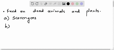 which-of-these-feed-on-dead-animals-and-plants-scavengers-herbivores-carnivores-omnivores-16445