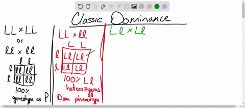 part-1-punnett-squares-exploring-the-rules-of-complete-dominance-cross-1-example-genotype-ll-x-ll-phenotype-parent-1-homozygous-dominant-lactose-tolerant-parent-2-homozygous-recessive-lactos-11138