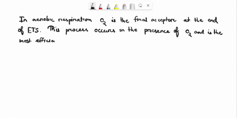both-aerobic-respiration-and-anaerobic-respiration-utilize-glycolysiskrebs-cycleand-an-electron-transport-systembut-in-respirationo-is-the-final-electron-acceptor-at-the-end-of-the-electron-95817