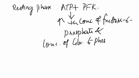 7-from-the-following-diagram-below-please-answer-the-questions-briefly-10-points-at-rest-during-exercise-glucose-glucose-hexokinase-hexokinase-negative-feedback-glycogen-glucose-6-phosphate-31908