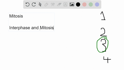 question-4-1-point-saved-which-of-the-following-is-not-a-part-of-the-mitotic-phase-of-the-mitotic-cycle-1-anaphase-2-prophase-3-interphase-prometaphase-65437