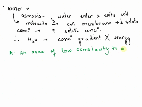 25-water-moves-from-an-area-of-low-osmolarity-to-an-area-of-high-osmolarity-a-hypertonic-solution-to-a-hypotonic-solution-an-area-of-high-osmolarity-to-an-area-of-low-osmolarity-a-solution-t-17089