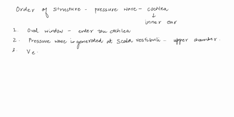 window-order-the-structures-that-a-pressure-wave-passes-through-in-the-cochleabeginning-from-the-oval-window-and-ending-et-the-round-oval-window-pressure-wave-formation-in-the-cochlear-duct-96957