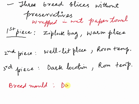 there-is-3-slices-of-bread-that-is-preservative-free-the-mould-that-grows-on-bread-is-airborne-and-is-found-in-most-homes-to-ensure-that-bread-has-been-exposed-to-mould-spores-it-stayed-unco-2234