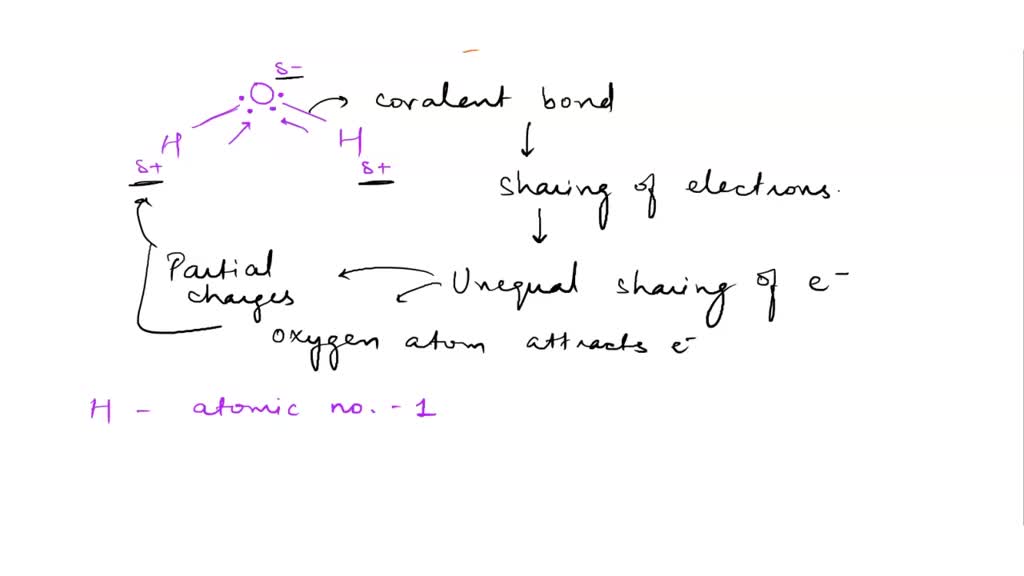 SOLVED Page 4 33. Why do the atoms of a water molecule have partial charges or dipoles