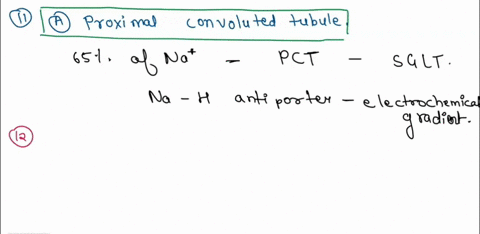 question-11-in-the-nephron-where-does-most-65-sodium-ion-reabsorption-occur-2-points-a-proximal-convoluted-tubule-b-nephron-loop-c-distal-convoluted-tubule-d-collecting-duct-question-12-what-35207
