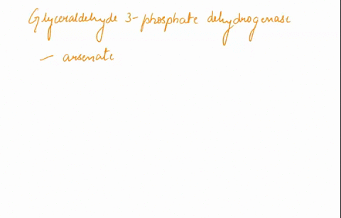 glyceraldehyde-3-phosphate-dehydrogenase-can-use-arsenate-aso43-in-place-of-phosphate-however-the-resulting-product-spontaneously-hydrolyzes-to-3-phosphoglyerate-what-is-the-net-atp-yield-of-42178