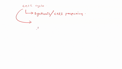 which-phase-in-the-cell-cycle-consists-of-the-cell-readying-itself-for-its-division-a-prophase-b-interphase-c-anaphase-d-metaphase-94815