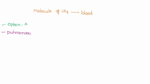if-a-molecule-of-co2-released-into-the-blood-in-your-left-toe-is-exhaled-from-your-nose-it-must-pass-through-all-of-the-following-except-a-the-pulmonary-vein-b-the-trachea-c-the-right-atrium-28359