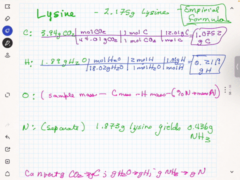 lysine-an-essential-amino-acid-in-the-human-body-contains-c-h-o-and-n-in-one-experiment-the-complete-combustion-of-2175-g-of-lysine-gave-394-g-co2-and-189-g-of-h2o-in-a-seperate-experiment-1-09261
