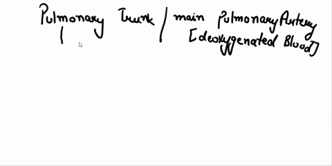 the-pulmonary-trunk-carries-1-point-deoxygenated-blood-from-right-ventricle-to-the-lungs-false-true-31015