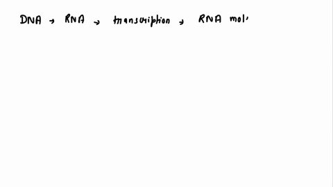 question-13-the-flow-of-genetic-information-in-molecular-biology-follows-the-following-path-dna-is-translated-into-rna-which-is-transcribed-into-protein-dna-is-translated-into-protein-dna-is-66225